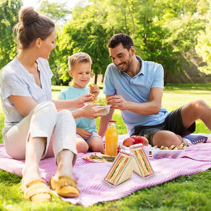 Reusable Triangle Magnetic Transparent Sandwich Crisper – Food Storage Kitchen Gadget